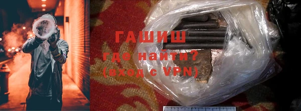 крисы Мегион