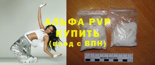 крисы Мегион