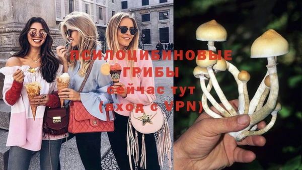 крисы Мегион