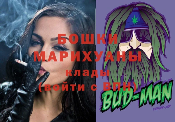 крисы Мегион
